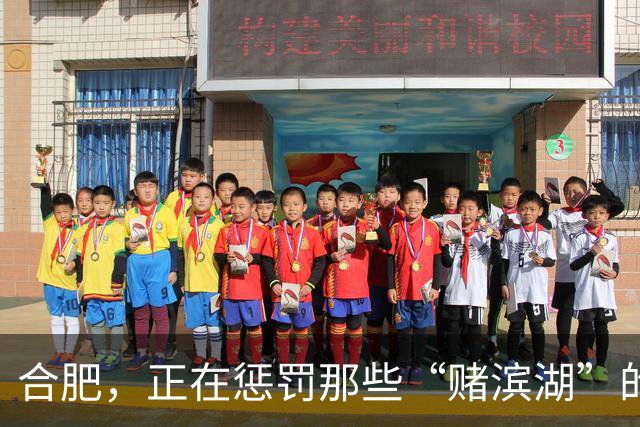 合肥，正在惩罚那些“赌滨湖”的人
