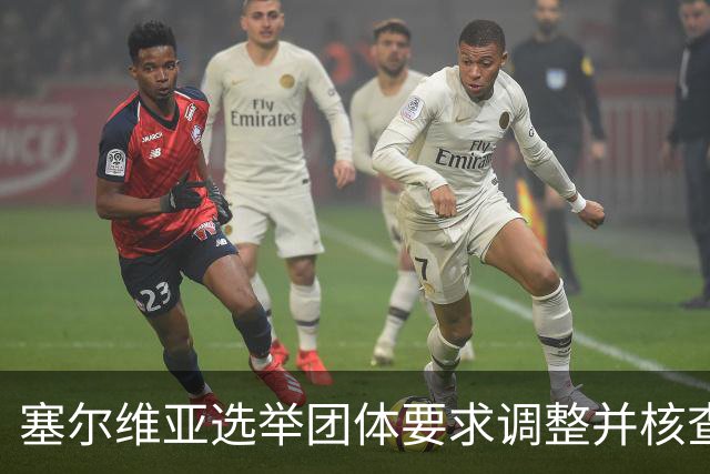 塞尔维亚选举团体要求调整并核查公共机构
