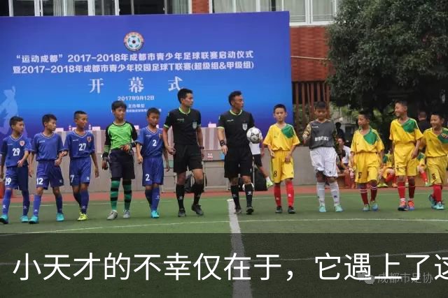 小天才的不幸仅在于，它遇上了这个消费降级的时代