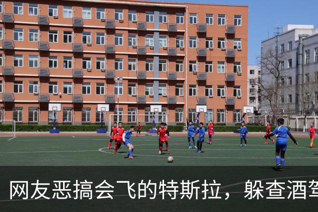 网友恶搞会飞的特斯拉，躲查酒驾、冲收费站、飞河流，安全是关键