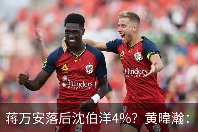 蒋万安落后沈伯洋4%？黄暐瀚：联合报民调挑动蓝营选民敏感神经