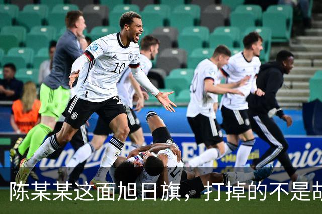 陈某某这面旭日旗，打掉的不是胡锡进的面子，是一层中邪论的滤镜