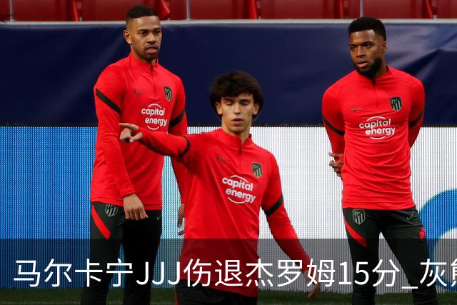 马尔卡宁JJJ伤退杰罗姆15分 灰熊击败爵士豪取四连胜